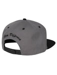 IrieDaily Daily Contra Snapback Cap
