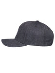 Element Treelogo Cap