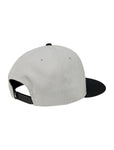 DC Tailgate Snapback Cap