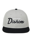 DC Tailgate Snapback Cap