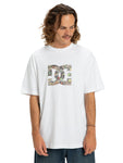 DC Star Filled Tee