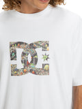 DC Star Filled Tee